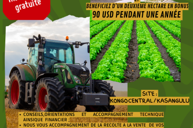 services_propositions_d_affaires ESTYV ET FRÈRES   